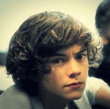 harry edward styles harry styles gif