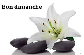 Résultat de recherche d'images pour 