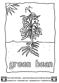 We have compiled for you a large collection of images with different animals. Green Bean Coloring Page Coloring Home