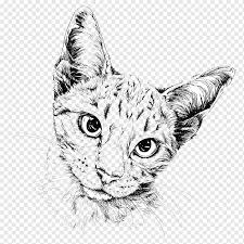 With these cat png images, you can directly use them in your design project without cutout. Cute Cat Png Images Pngwing