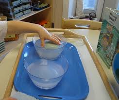 saltwater vs. freshwater experiment