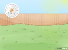 Check spelling or type a new query. How To Prepare A New Garden Bed 12 Steps With Pictures