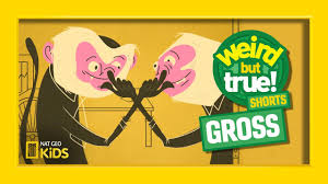 Aug 02, 2019 · the same holds true for the code of spider silk and goat's milk. Weird But True And Gross Weird But True Shorts Youtube