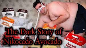 Image result for Dark Avocado 1977 Fedders