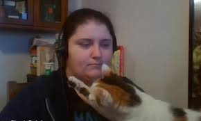 Cat attacks its owner's headphones in hilarious video