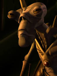 Geonosian Spy Star Wars Canon Wiki Fandom Canon pachelbel — albinoni adagio 03:53.