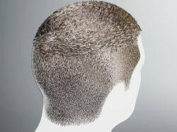 We did not find results for: Anime Haircut Male 3d Models Stlfinder