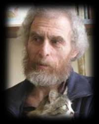 Dirac fractality in quasiperiodic moiré TMultilayerG: Simulating dirty  topological surface states