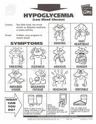 Sugar Bear Investigating Type 2 Diabetes Medic15