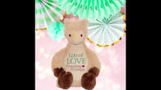 Personalized Stuffed Animals Add Name or Personal Message With ...
