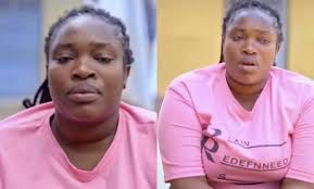 University of Florida campus life experiences