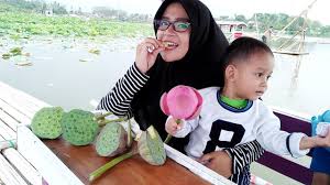 Akar teratai bisa dimasak apa. Naik Rakit Menjelajah Danau Teratai Dan Ternyata Biji Bunga Teratai Bisa Di Makan Youtube