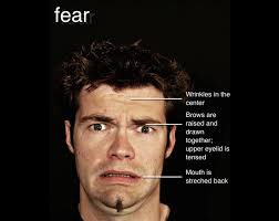 Search for contempt expression pictures, lovepik.com offers 38945 all free stock images, which updates 100 free pictures daily to make your work professional and easy. Micro Expression The Facial Expressions Of The 7 Basic Emotions At A Glance Pantomime Popkultur