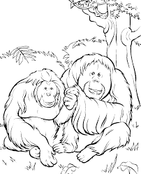 Two Orangutans In The Jungle Coloring Pages Animal Coloring Pages Kidsdrawing Free Col Zoo Animal Coloring Pages Zoo Coloring Pages Animal Coloring Pages