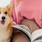 Paws & Pages event image