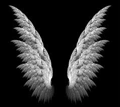 Pin By A M On Drawing Wings Angel Wings Pictures Wings Wallpaper Wings Art