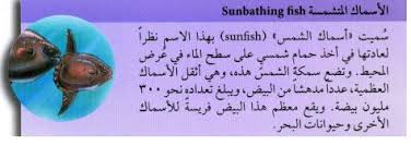 في هذا اللقاء يستضيف الشيخ رحمه الله جمهور الناس من طلبة العلم والعامة في منزله كل يوم خميس من الساعة العاشرة صباحا حتى آذان الظهر. Ø®ØµØ§Ø¦Øµ Ø§Ù„Ù…Ø­ÙŠØ·Ø§Øª ÙˆØ£Ù†ÙˆØ§Ø¹ Ø§Ù„ÙƒØ§Ø¦Ù†Ø§Øª Ø§Ù„Ø¨Ø­Ø±ÙŠØ© Ø§Ù„Ù…ØªÙˆØ§Ø¬Ø¯Ø© ÙÙŠÙ‡Ø§