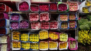 Maybe i'm projecting, but i think big city flower markets can be unnerving for most people: Family Friendly Walking Tour Of Nyc S Flower District Mommy Nearest