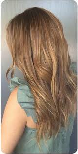 And the hair color is…brown with blonde highlights, also known as bronde. Light Golden Brown Hair Color Ideas Light Hair Color Light Golden Brown Hair Light Golden Brown Hair Color