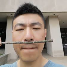 Mao Sun: Graduate Students: People: East Asian Languages and Cultures:  Indiana University Bloomington