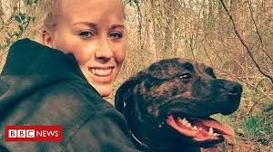 Putting a dog down for biting. Why Do Dogs Attack Their Owners Bbc News