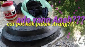 Check spelling or type a new query. Aneh Cara Cat Pot Bonsai Dengan Arang Youtube