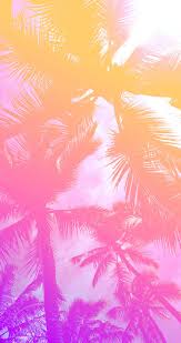 Pink Palm Trees Tree Wallpaper Iphone Palm Trees Wallpaper Summer Wallpaper Tons of awesome palm tree wallpapers to download for free. pink palm trees tree wallpaper iphone