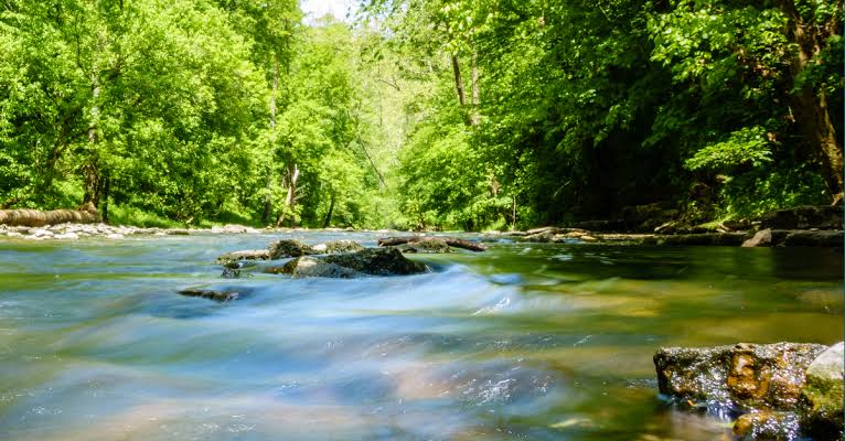 バーボン造りに欠かせない石灰岩の湧き水（AI 生成）