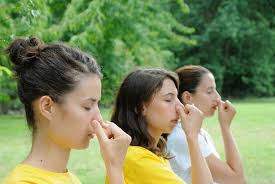 We did not find results for: Yoga Teachers Training Course Ashram De Yoga Sivananda