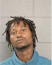 ᐅ Illinois Criminal Records 2009-2025