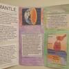 Mantle convection is the process by which heat from the earth's core is transferred upwards to the surface. Https Encrypted Tbn0 Gstatic Com Images Q Tbn And9gcrzhs4ubuidedv8cubyjquy7ankbfw2ptnubypkmhfqttcpnqhu Usqp Cau