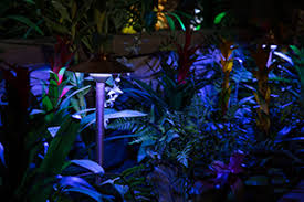 Fx luminaire contractors take a picture of the client's property use landscape lighting software to place the fixtures where they would be installed. Fx Luminaire Introduces 14 More Fixtures With Led Color Capability Fx Luminaire