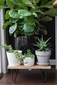 Plant stand mid century planter for indoor plants. 13 Cool Creative Diy Plant Stand Ideas The Garden Glove