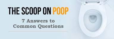 The Scoop On Poop Gastrointestinal Society