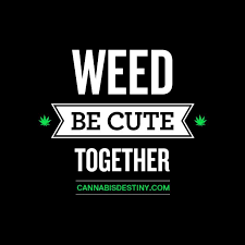 Quotes About Love And Weed Quotesgram