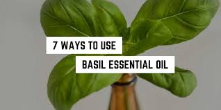 Although basil was used in this video, this technique will work with any tender, green herb including parsley, tarragon, cilantro, oregano, majoram and thyme, just to name a few. 7 Ways To Use Basil Essential Oil Plentiful Earth