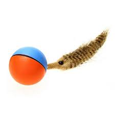 Celendi Pet Funny Weasel Motorized Rolling Ball Fun Jump Moving Interactive Toy For Dog Cat Have A Lo Best Interactive Cat Toys Interactive Cat Toys Cat Toys