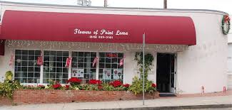 Maybe you would like to learn more about one of these? Flowers Of Point Loma Home Facebook