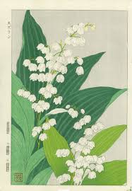 Find the perfect lily of the valley drawing image. Lily Of The Valley By Kawarazaki Shodo 1899 1973 ããã«ã¡ã¯ From The Plant Kingdom