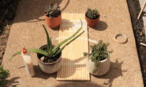 Create the perfect entertaining space with an outdoor kitchen. How To Build An Easy Diy Daybed That You Can Make In One Day