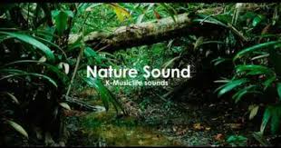 Pin By Jennifer Niles On Photography Nature Sounds Nature Relaxing Music