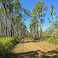 Longleaf Blaze Trail Run 5k/10k/Double Down event in Poinciana, FL