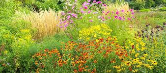 Einer der wichtigsten kriterien eines ökologischen gartens ist natürlich das naturnahe gärtnern, d.h. Natuerlich Gaertnern Garten Biogarten Permakultur Selbstversorgun