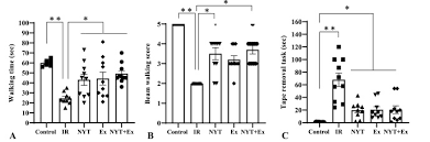 Image result for Erythrococca ulugurensis