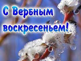Что можно, а что нельзя есть в вербное воскресенье. Kartinki S Verbnym Voskresenem 32 Otkrytki Prikolnye Kartinki I Pozitiv