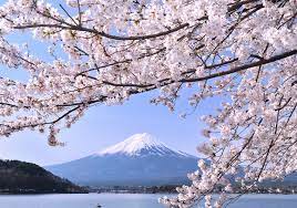 Latest news and features from japan: Voyage Au Japon Votre Agence Locale Au Japon
