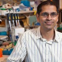 The David Solit Lab: Lab Members