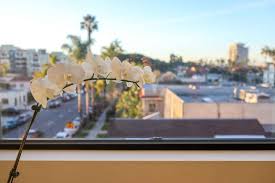 Maybe you would like to learn more about one of these? Abpopa Hillcrest The Best Hotel In San Diego Ad