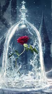Red, bokeh, rose, heart, valentine, card. Best Rose Iphone 8 Hd Wallpapers Ilikewallpaper