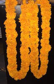 Plano, tx local florist providing anniversary gifts & flowers whether it's a first anniversary or a golden one, you can help celebrate their joyous occasion (or yours. Vivek Flowers Plano Facebook